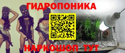a pvp Новокубанск