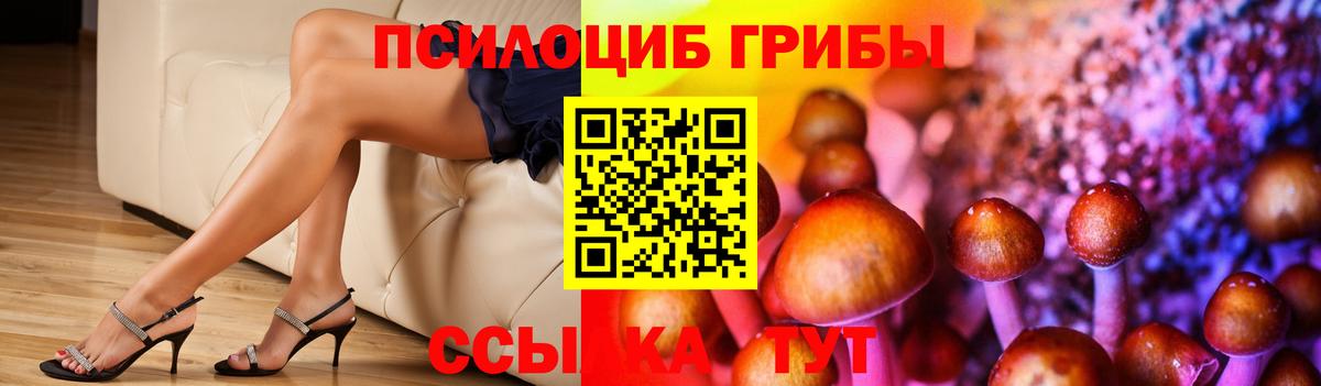 Галлюциногенные грибы ЛСД  Псилоцибиновые грибы Psilocybine cubensis  Вход с VPN  купить  сайты  Тольятти 